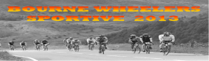 BW Sportive Graphic 2013